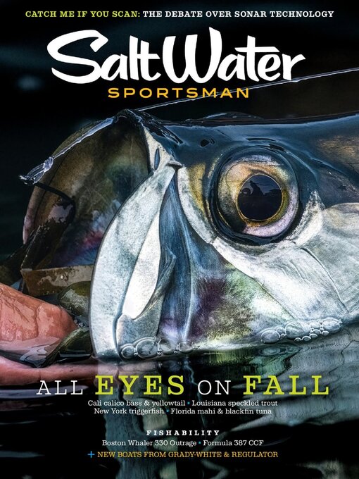 Cover image for Salt Water Sportsman